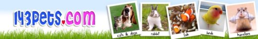 143pets 143pets